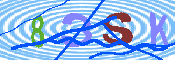 キャプチャ画像