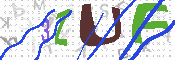 キャプチャ画像