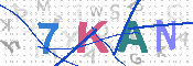 キャプチャ画像