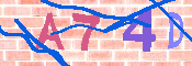 キャプチャ画像