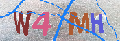 キャプチャ画像