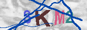 キャプチャ画像