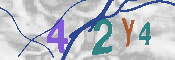 キャプチャ画像