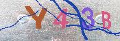 キャプチャ画像