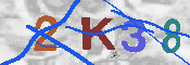 キャプチャ画像
