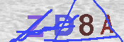 キャプチャ画像