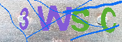 キャプチャ画像