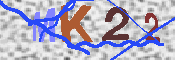キャプチャ画像