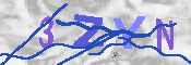 キャプチャ画像