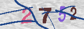 キャプチャ画像