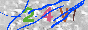 キャプチャ画像