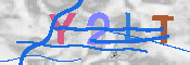 キャプチャ画像