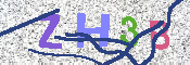 キャプチャ画像