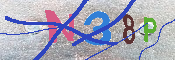 キャプチャ画像
