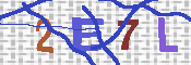 キャプチャ画像