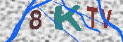 キャプチャ画像