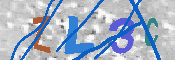 キャプチャ画像