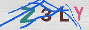キャプチャ画像
