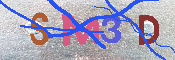 キャプチャ画像