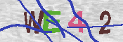 キャプチャ画像