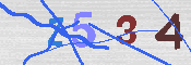 キャプチャ画像