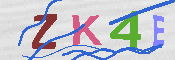 キャプチャ画像