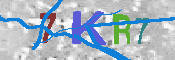 キャプチャ画像