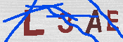 キャプチャ画像