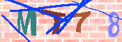 キャプチャ画像