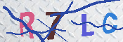 キャプチャ画像