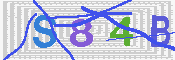 キャプチャ画像