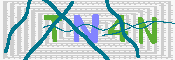 キャプチャ画像