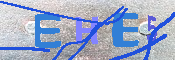 キャプチャ画像