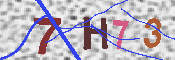 キャプチャ画像
