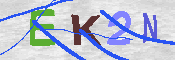 キャプチャ画像