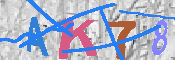 キャプチャ画像