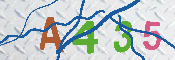 キャプチャ画像