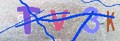 キャプチャ画像
