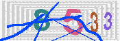 キャプチャ画像
