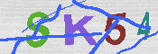 キャプチャ画像