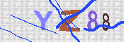 キャプチャ画像