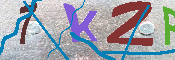キャプチャ画像