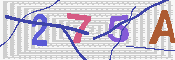 キャプチャ画像