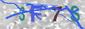 キャプチャ画像