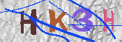 キャプチャ画像