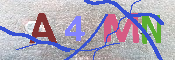 キャプチャ画像
