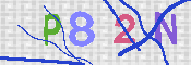 キャプチャ画像