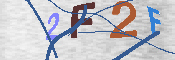 キャプチャ画像
