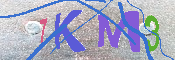 キャプチャ画像