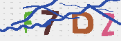 キャプチャ画像